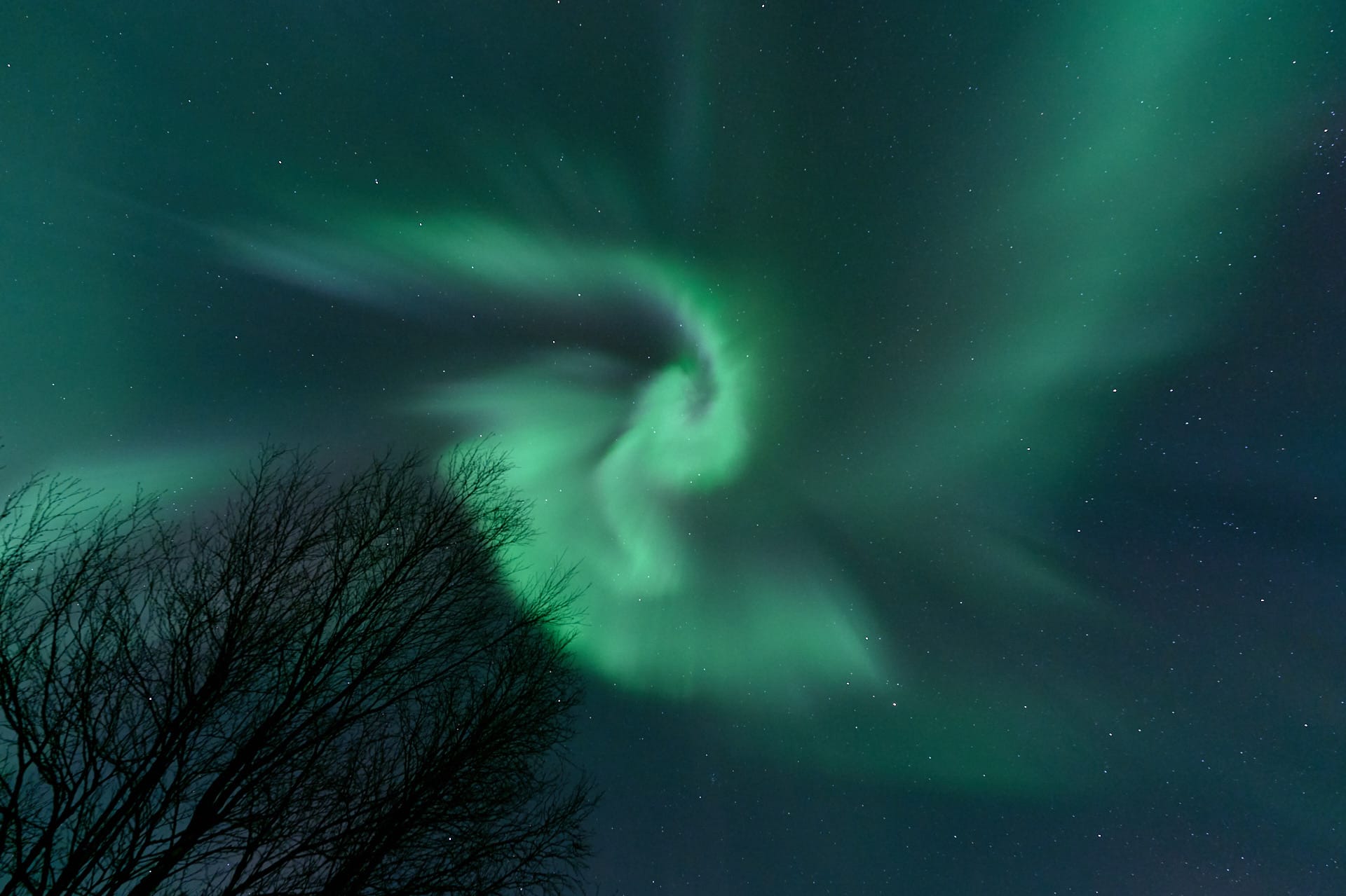Aurora Chasing in Grovfjord